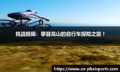 易倍体育平台